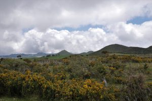 Coteau du Nez de Boeuf