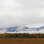 Von Anchorage nach Talkeetna