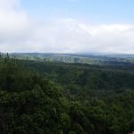 Waimea Canyon - Pihea Lookout