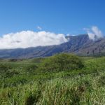 Road to Hana - Fast am Ende mit Ausblick auf den Haleakala