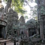Ta Prohm Tempel - Angkor Wat