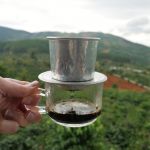 Da Lat - Die Kaffeeplantage Me Linh
