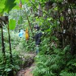 Tra Ang Cave Wanderung